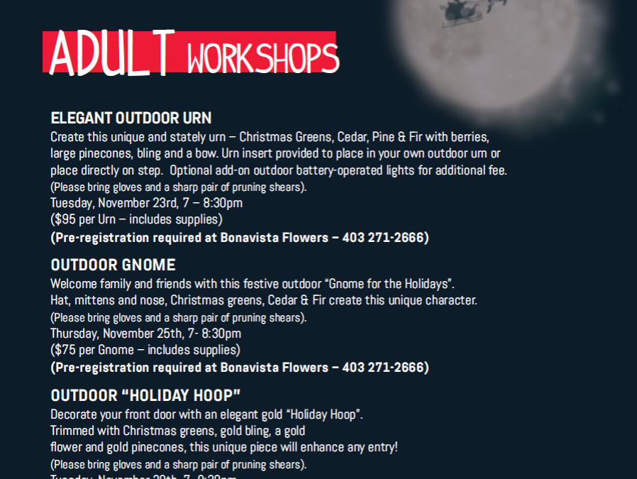 Adult Workshops Available